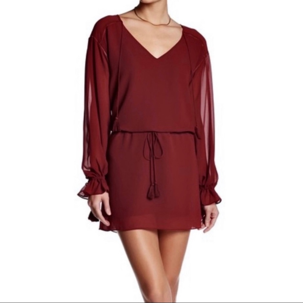 NEW HAUTE HIPPIE BURGUNDY V-NECK TASSEL TIE MINI DRESS